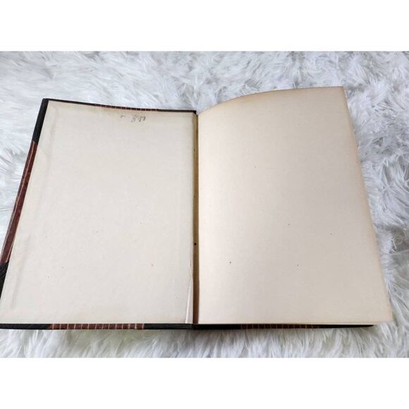 Douglas Reed Galskabens Kavalkade - Picture 3 of 6